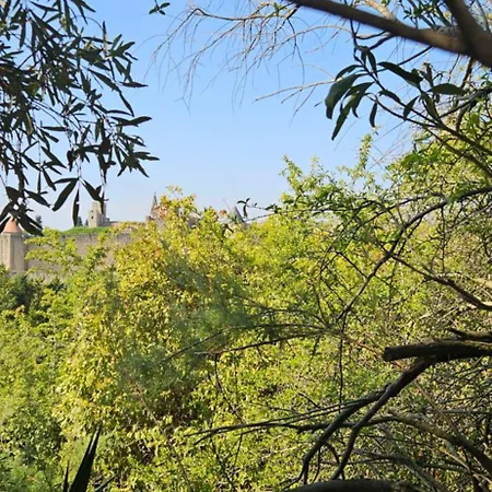 La Caverne De Fontgrande, Piscine Et Parking Et Vue Cite Carcassonne